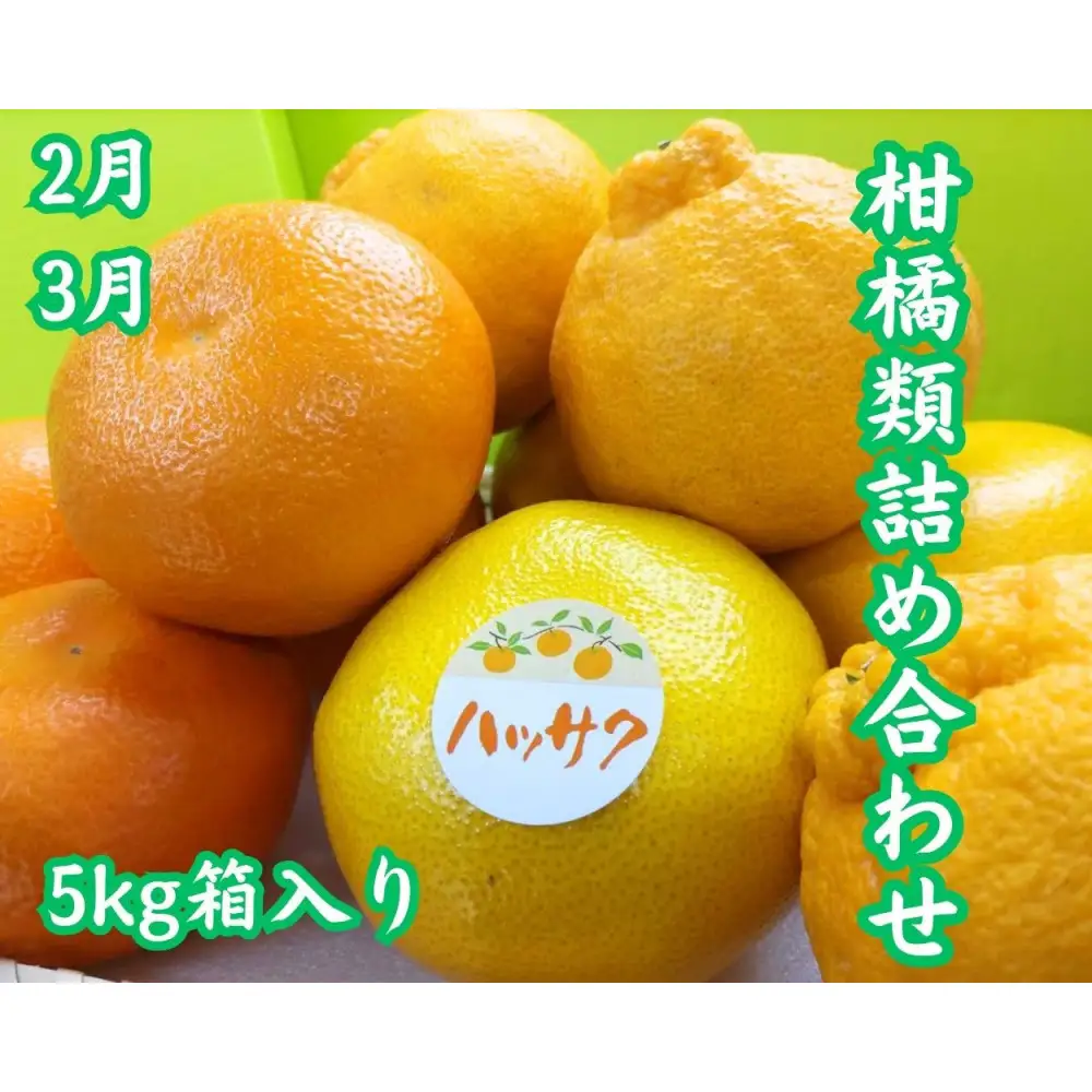 【全6回】坂出　冬・夏　美味しい果物定期便