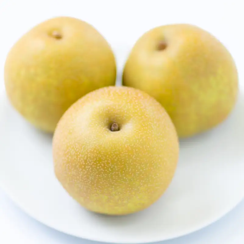 栃木県産　旬の梨　約2.5kg【栃木県共通返礼品】 【ns110-002-1】