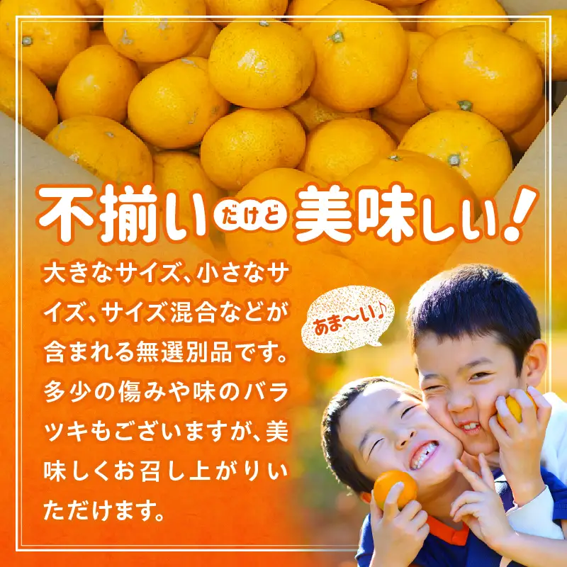 【先行予約】【訳あり】常滑ハッピーみかん 3kg｜みかん フルーツ 常滑市
