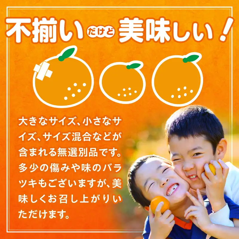 【先行予約】【訳あり】常滑ハッピー甘夏 1.5kg～2kg（3～4個）｜甘夏 フルーツ 常滑市