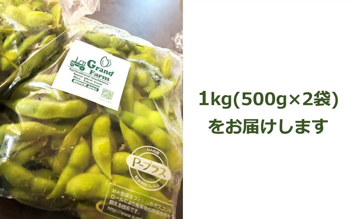 【数量限定・8月上旬出荷】新潟えだまめ 茶豆 1kg（500g×2袋）新潟県産枝豆 [Y0633]