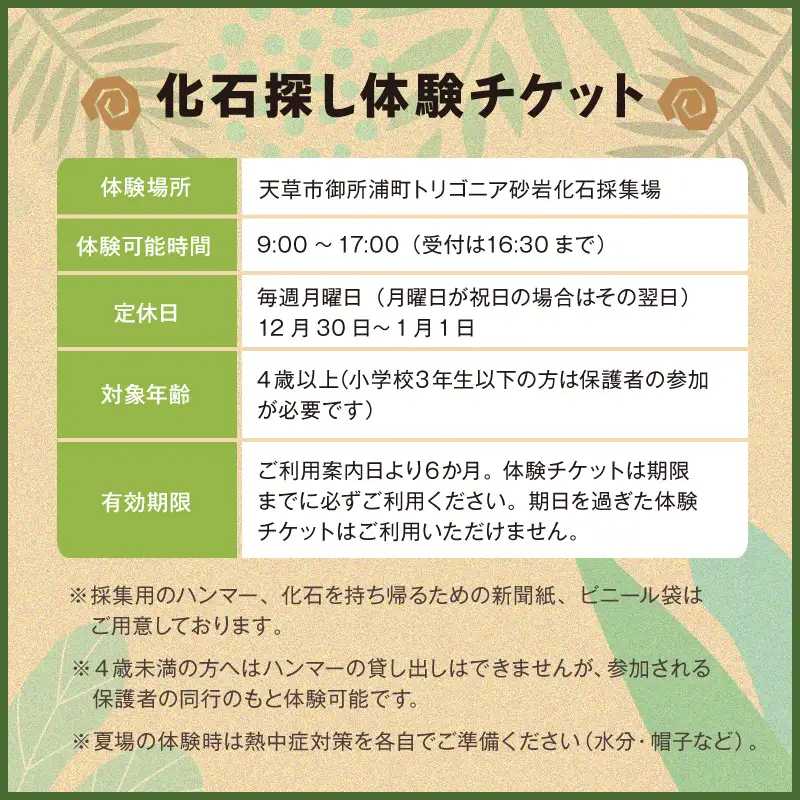 S188-002_化石ディグ利用券(2名様)