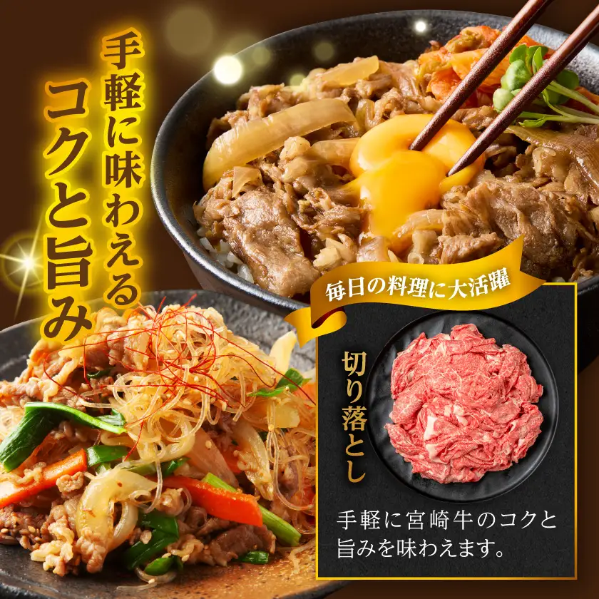 宮崎牛バラエティ焼肉&切り落とし1kgセット〔18-89-011〕_(都城市)