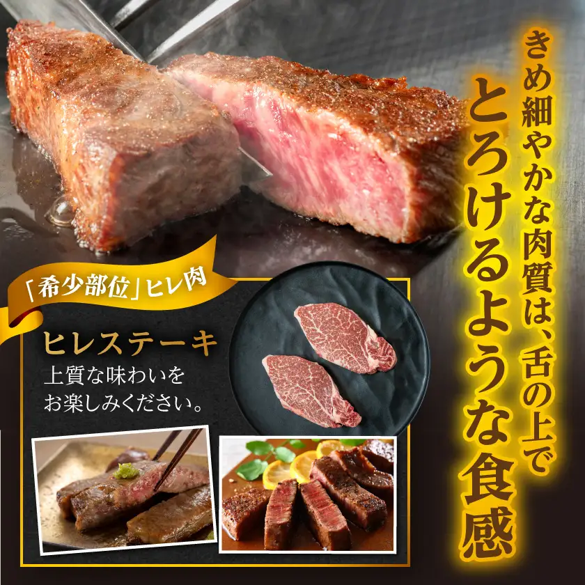 宮崎牛ヒレステーキ2枚&バラエティ焼肉500gセット〔AE-89-012〕_(都城市)