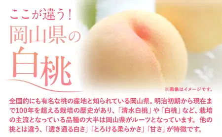 桃 岡山の 桃 約750g