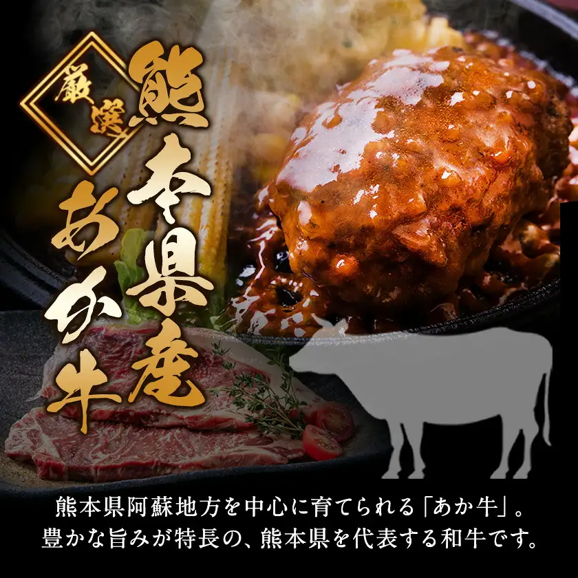 ハンバーグ あか牛 黒毛和牛 16個 クール便 黒毛 和牛 100% 生ハンバーグ 《30日以内に出荷予定(土日祝除く)》 あか牛 黒毛和牛 冷凍 牛肉 牛 ビーフ ハンバーグ