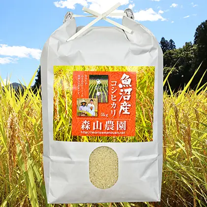 【令和8年産 先行予約】 森山農園 魚沼産コシヒカリ 5kg