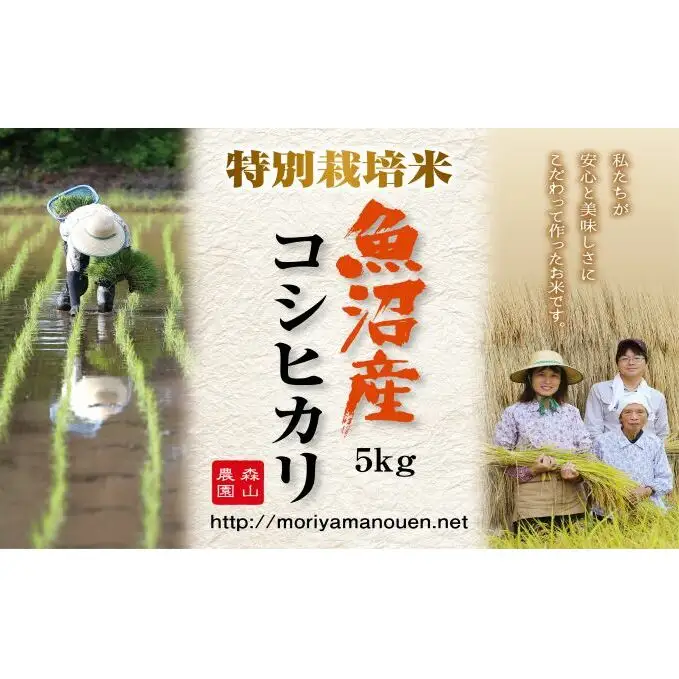 令和8年産 先行受付 森山農園 特別栽培米 魚沼産コシヒカリ（新潟県認証）5kg お米