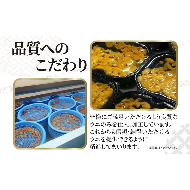 3ヵ月定期便 ロシア産 バフンウニ 100g×2 塩水 うに