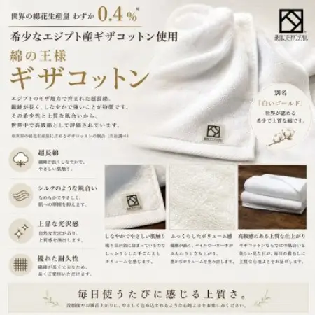 【泉州こだわりタオル認定】ファラオフェイスタオル 2枚セット ギザコットン使用 高級ホテル採用【1752599】