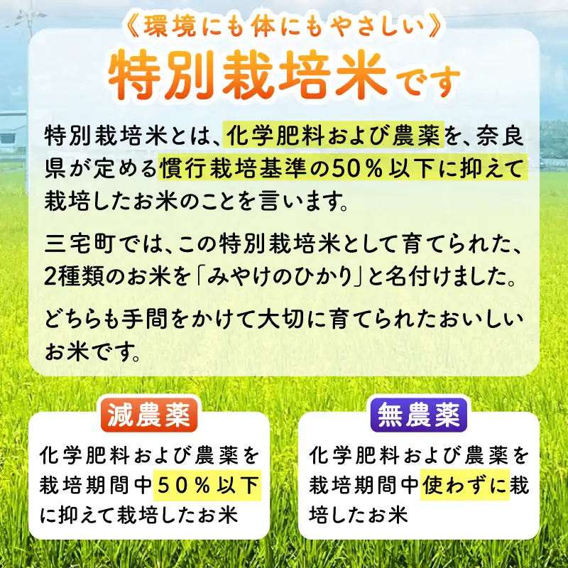 特別栽培米 みやけのひかり 2合 300グラム お試し 減農薬米 奈良県三宅町 白米 ヒノヒカリ 真空パックでお届け 保存食