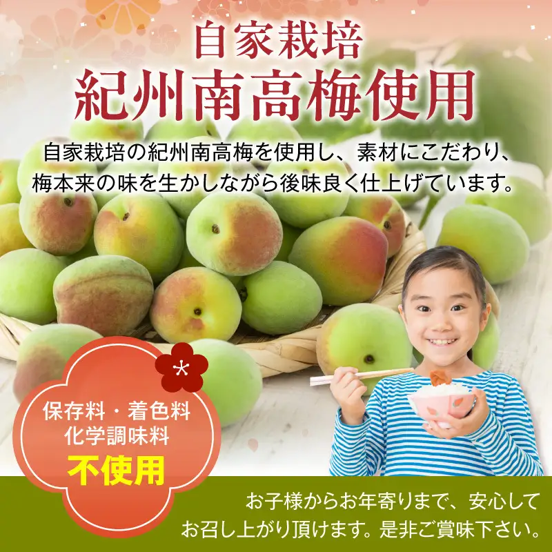 紀州南高梅使用 はちみつうす塩味完熟梅干し 無選別 800g_ZD7034