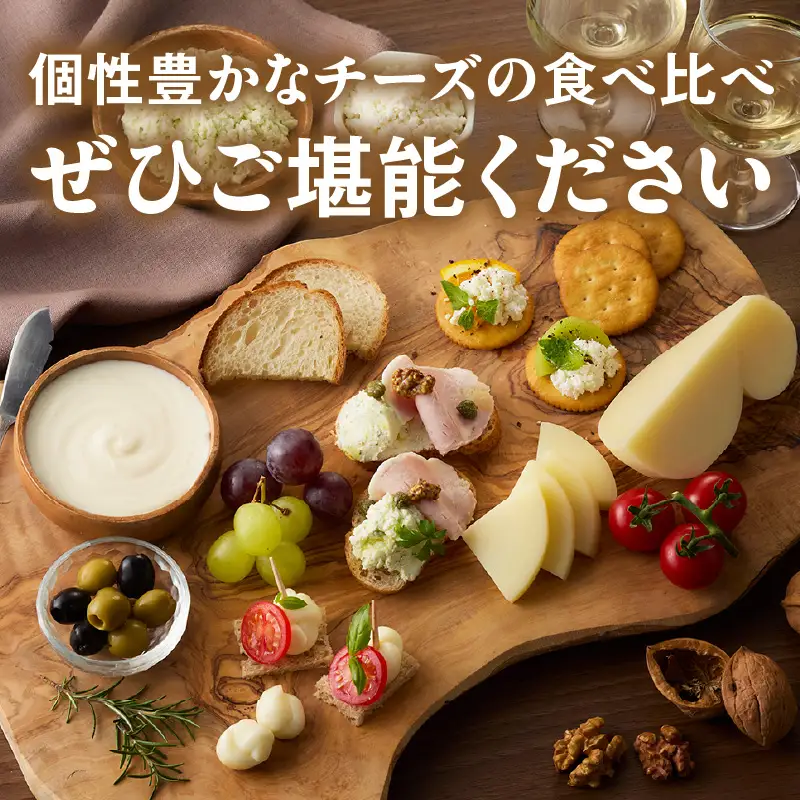 【国産】サントルチオの手づくりチーズ5種食べ比べセット（カチオカヴァッロ(カチョカバロ)・リコッタ・編みモッツァレラ・エルヴァジュ・クリームチーズ）・S104-230