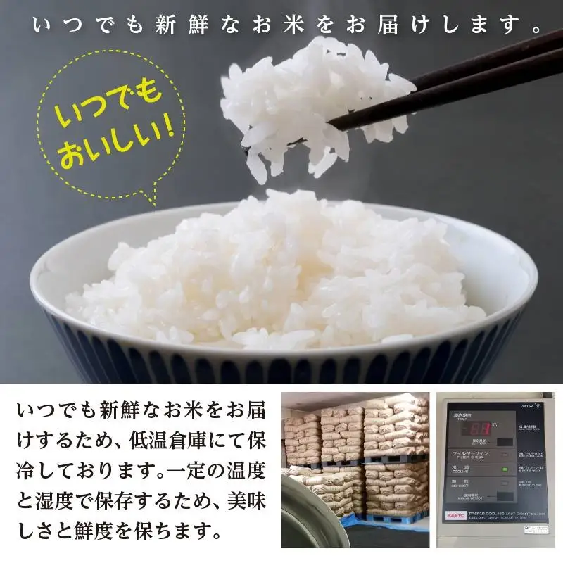 【令和8年産先行予約】【令和8年12月7日～12月13日発送】 工藤さんの特別栽培米 はえぬき 無洗米 10kg（5kg×2袋） 山形県鶴岡市産 株式会社サンエイファーム　| 米 はえぬき 10kg 特別栽培米 無洗米 国産ブランド米 米どころ 庄内米 食味ランク ご飯 おにぎり 冷めても 美味しい お弁当 おすすめ 人気  東北 山形 鶴岡 農家直送 令和8年 新米 予約