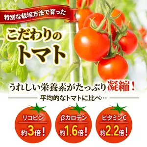 先行予約 訳あり トマト ごほうびとまと 700g トマト