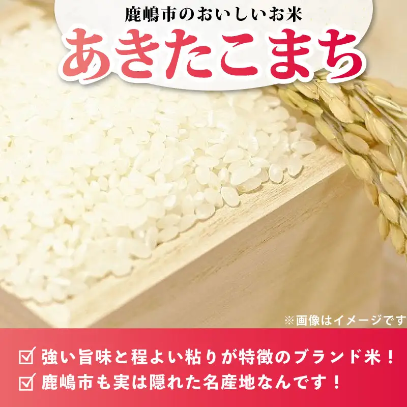 新米あきたこまち 10kg 先行予約 あきたこまち 精米 kome