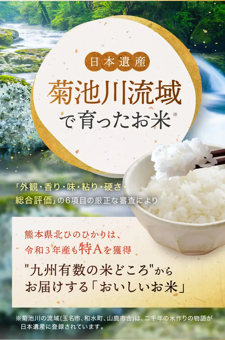 【 定期便 12回 】 R7年産 熊本県産 白米 くまさんの輝き 30kg