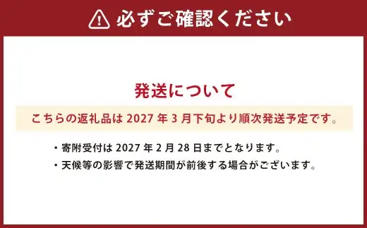 熊本県産 清見 約3kg 約7～9玉 柑橘 みかん 蜜柑 フルーツ 果物 くだもの  【2027年3月下旬発送開始】