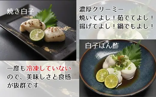 とらふぐ白子（約200g）