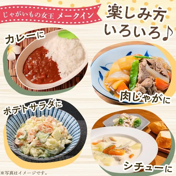 ＜先行予約受付中！2027年5月下旬以降順次発送予定＞ 訳あり！じゃがいも「メークイン」(約20kg) じゃがいも ジャガイモ 芋 国産 野菜 期間限定 数量限定 肉じゃが ポテトサラダ カレー シチュー 【古田果樹園】akn093-08
