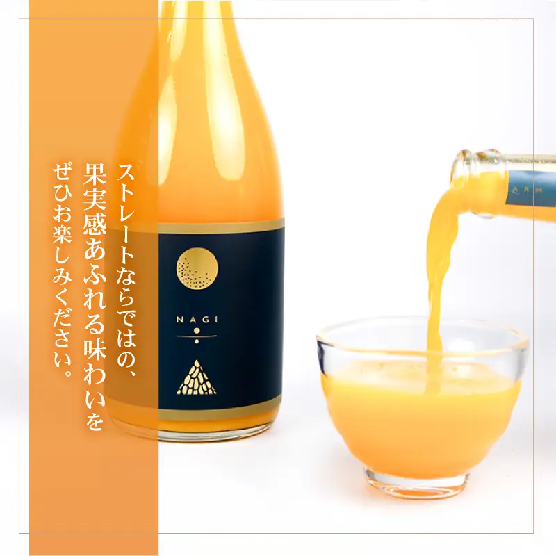 贈答用 みかん ジュース ミックスジュース 温州ミックスジュース 720ml ×2本 NAGI FARM ストレート mikan 果汁100% 果汁 ストレートジュース ジュース 蜜柑 みかん 果物 くだもの フルーツ 贈答用 ギフト プレゼント 産地直送 数量限定 国産 愛媛 宇和島 H020-207002