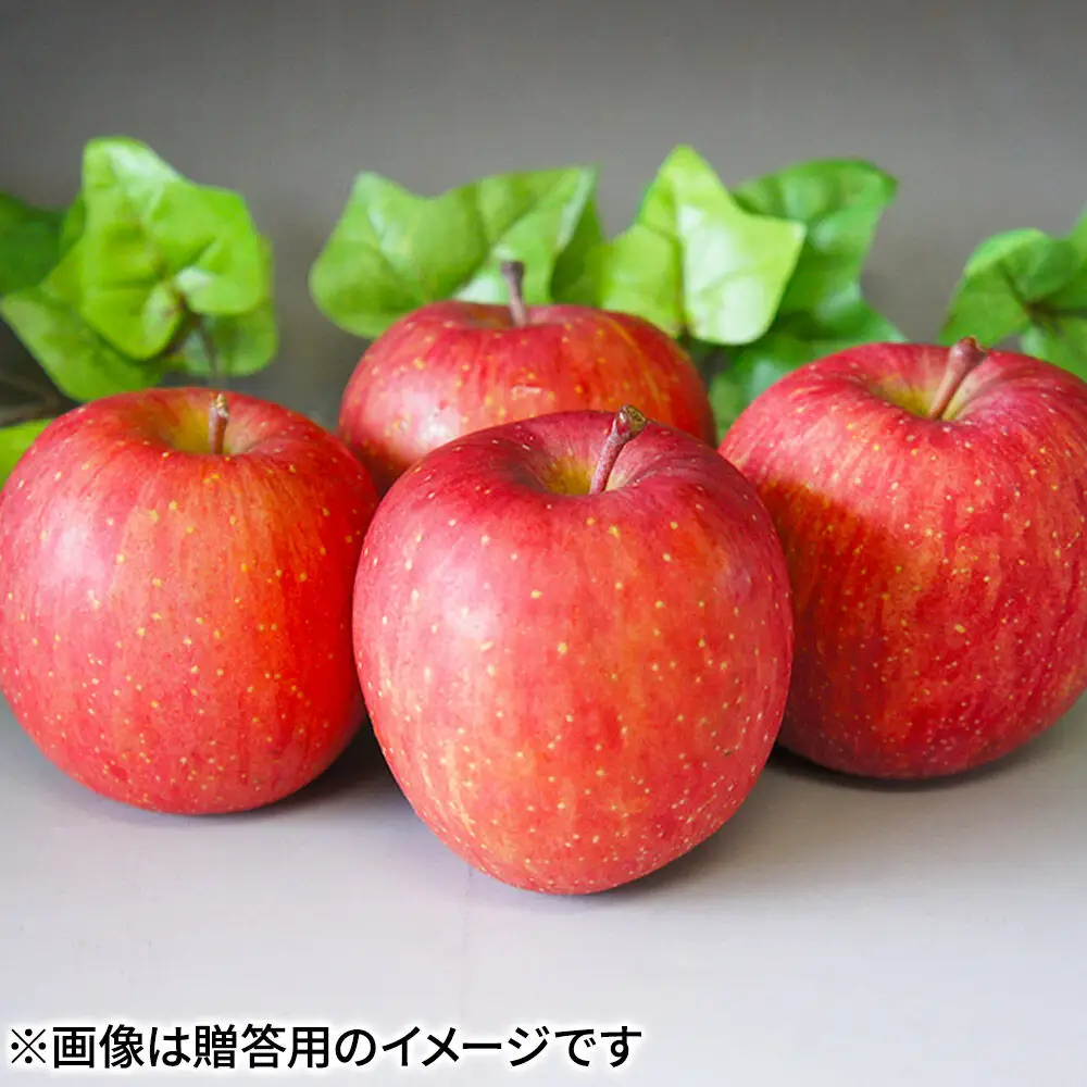 りんご サンふじ 贈答用 約3kg【12月発送】