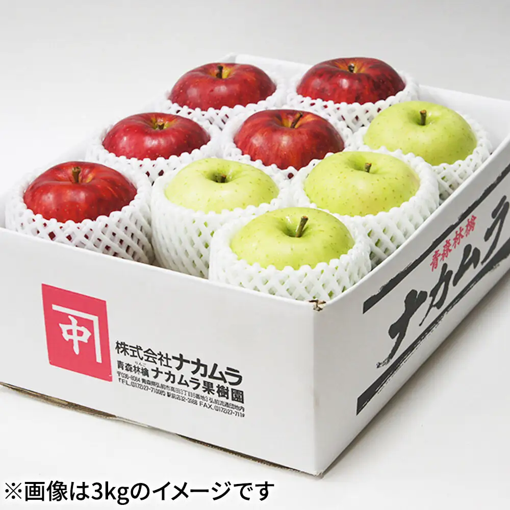 【26年12月発送】りんご サンふじ・王林【贈答用】約3kg（9～12玉程度）先行受付 青森県産 林檎 リンゴ 果物 くだもの フルーツ 青森県 弘前市