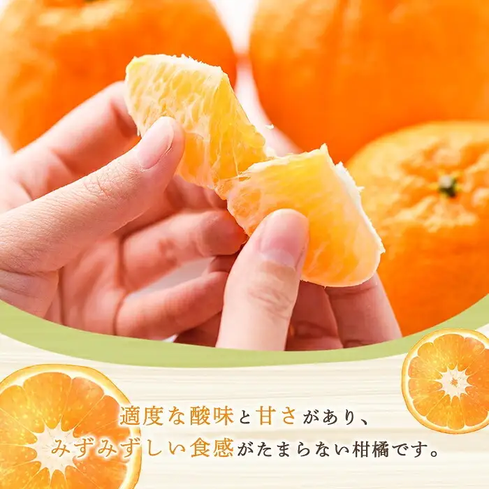 ＜先行予約受付中！2027年3月上旬以降順次発送予定＞ 訳あり！露地栽培の不知火(約8kg) 国産 不知火 しらぬい 柑橘 果物 フルーツ デザート 露地 果実 期間限定 数量限定 【古田果樹園】akn093-09