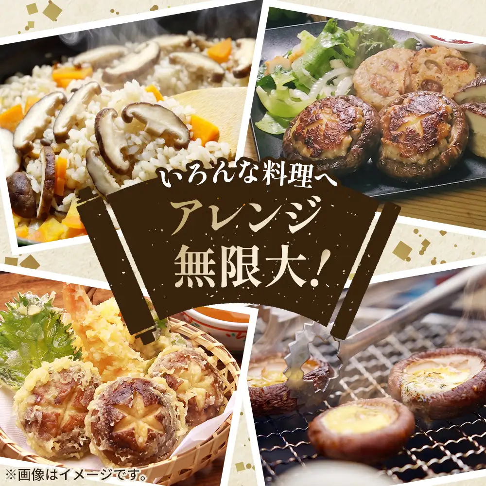 しいたけ 500g＜肉厚生しいたけ どんこ 12～14個入り 500g＞ ／ しいたけ 生しいたけ 肉厚 どんこ 菌床栽培 農薬不使用 国産 野菜 新鮮 ぷりぷり 食感 旨み BBQ 鍋 天ぷら 肉詰め 炒め物 大容量 料理用 山口県 No.232