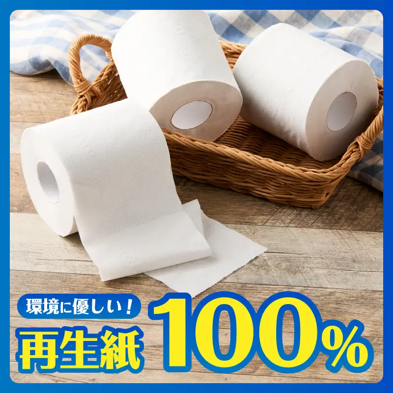 トイレットペーパー ダブル 24ロール(12ロール×2パック) エグレット 再生紙100％ 無香料 ホワイト エンボス加工 備蓄 防災 生活必需品 日用品 消耗品 生活用品 静岡県 富士市 [sf002-641]