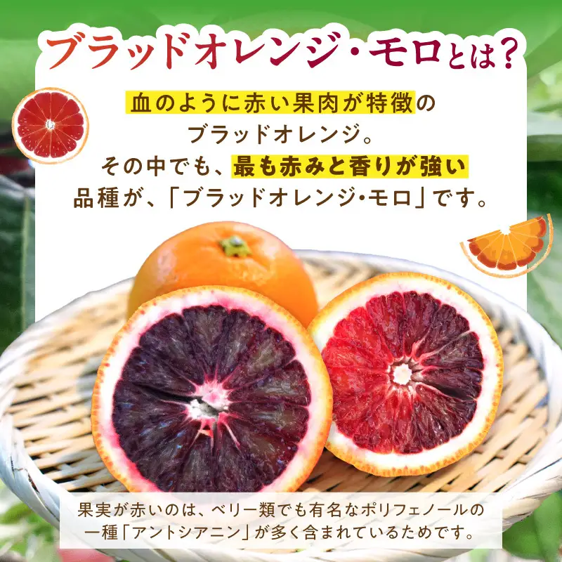《2027年3月上旬～3月下旬頃に順次発送予定》【2027年先行予約】庄助農園のブラッドオレンジ・モロ約3kg(サイズ混合・厳選採果)_BK6021