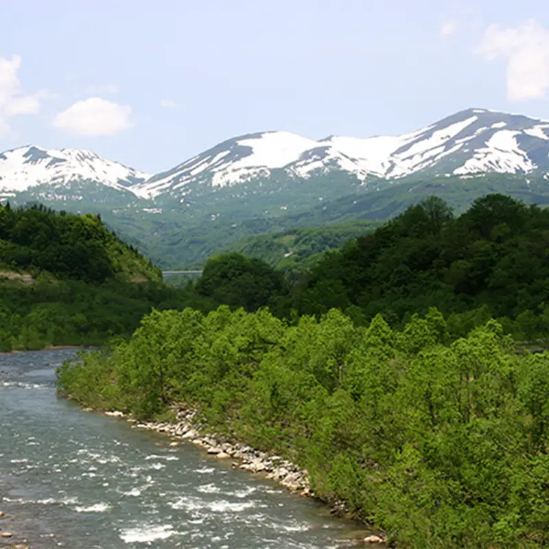 FYN6-601 【月山酒造】銀嶺月山 本醸造 1800ml 15度 山形県産米使用！ 日本酒 酒 SAKE さけ アルコール 1.8L 一升瓶 国産 米 贈答 贈り物 ギフト プレゼント 記念日
