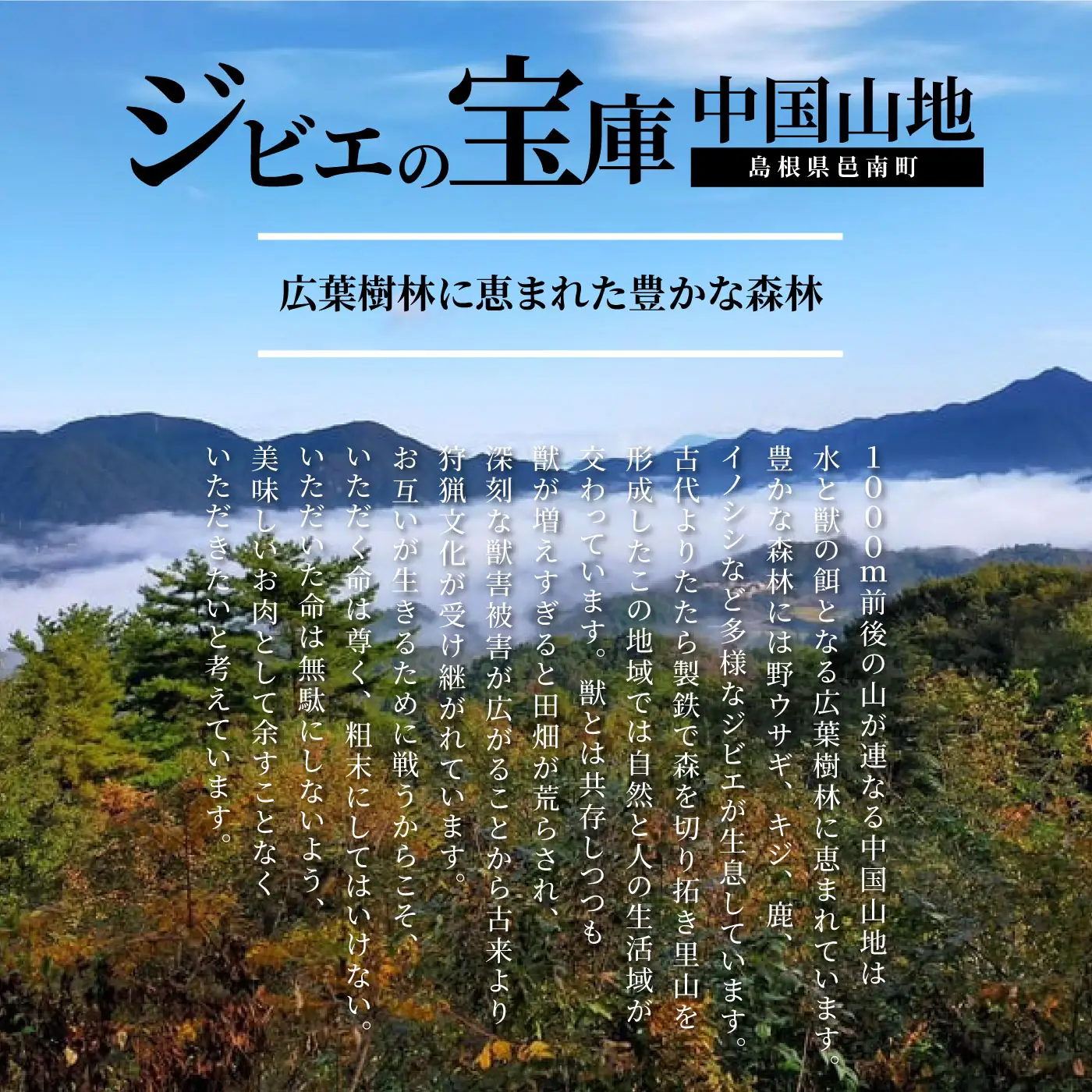 島根県産鹿肉モモスライス 真空パック 600g（200g×3袋）冷凍