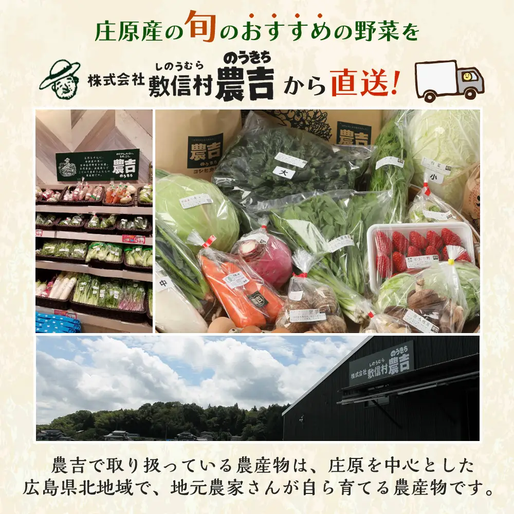 【定期便 12回配送】広島県庄原産「旬の野菜」詰め合わせ箱（13～15品目）野菜セット やさい 12ヵ月 12か月 12ヶ月 1年 1年間 定期 頒布会