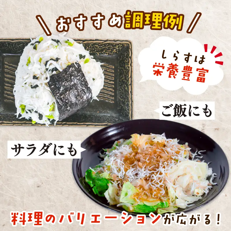 しらす干し 約600g（100g×6パック） 南知多篠島産 大一商店 冷凍 小分け