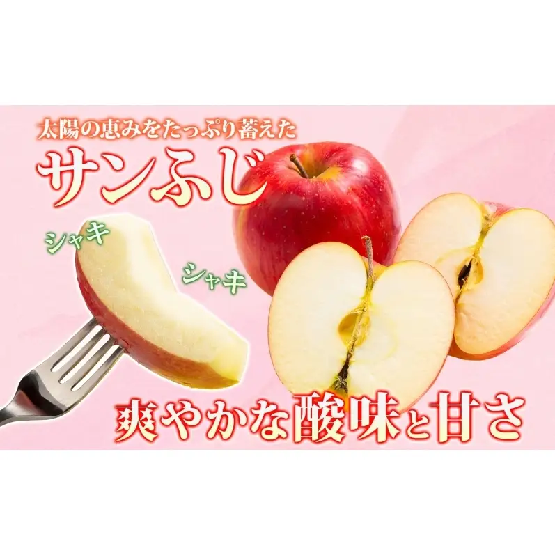 サンふじりんご青森県産贈答用サンふじ【約3kg】【11月発送】