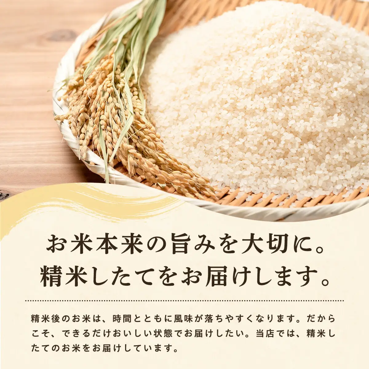 【先行予約】あきたこまち 10kg 令和8年産 無洗米 あきたこまち
