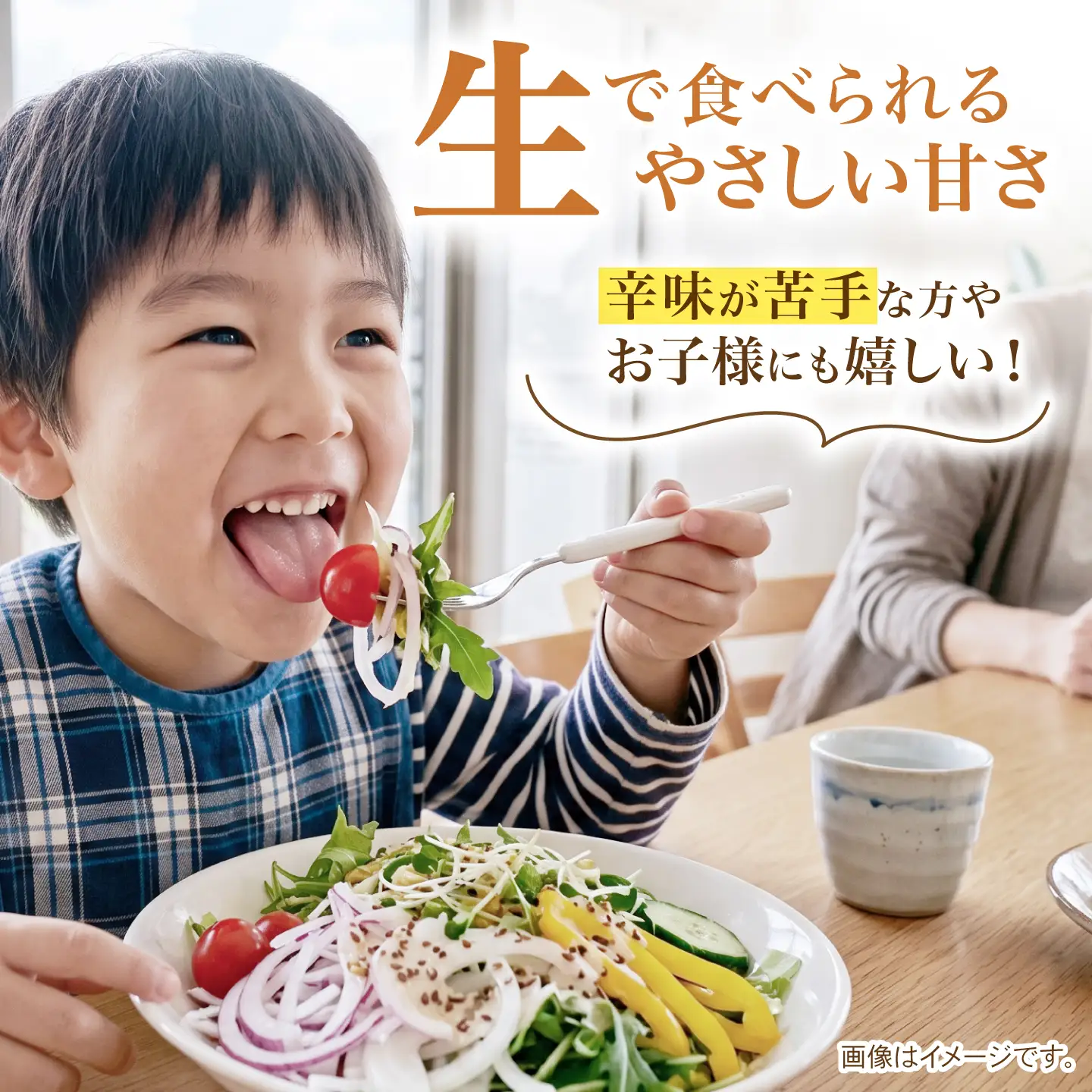 【先行予約 2027年1月〜発送】種から栽培するこだわり！冬どりたまねぎ5kg【藤武農産】[IDM002]