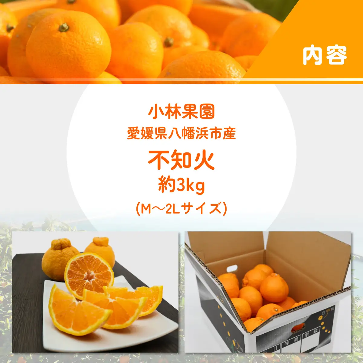【先行受付】小林果園の不知火(約3kg)【24-44】YWTAD035