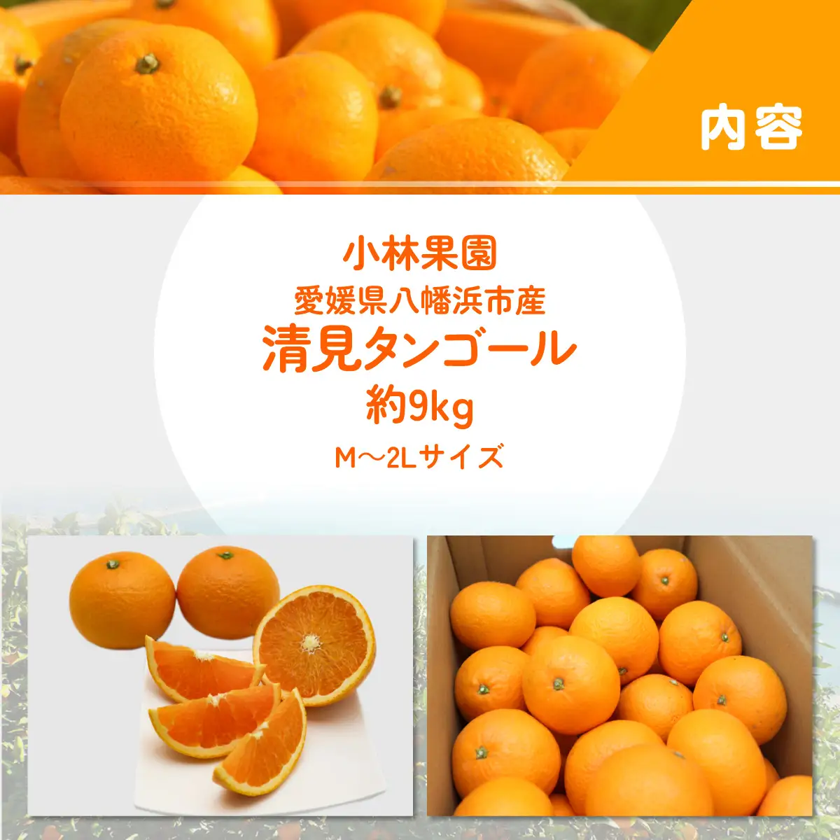 【先行受付】小林果園の清見(約9kg)YWTAD038