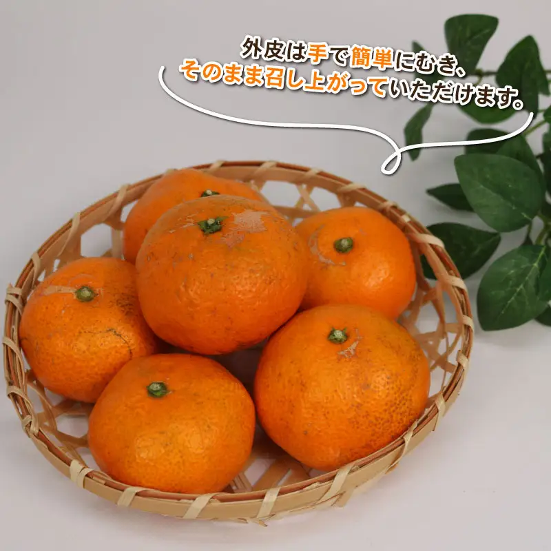 訳あり みかん 南柑20号 9kg 赤松果樹園【 みかん 】 B010-208003