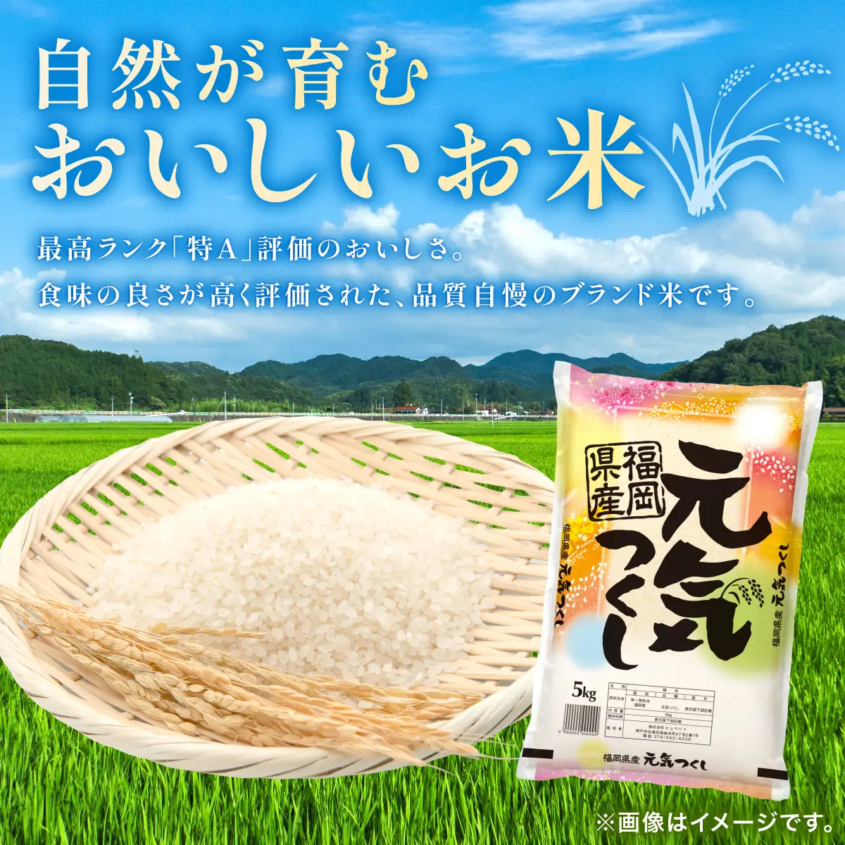 令和7年産 福岡県産元気つくし 10kg