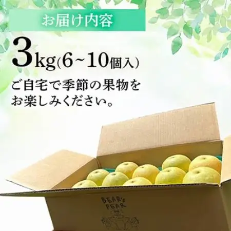二十世紀梨 3kg 長野県飯島町産【1631967】