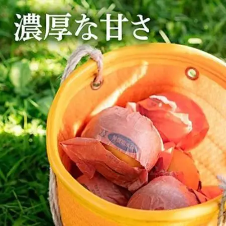 南水 3kg 長野県飯島町産【1632025】