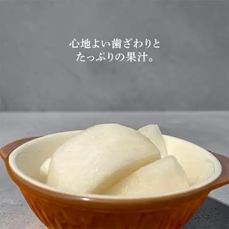 南水 5kg 長野県飯島町産【1632054】