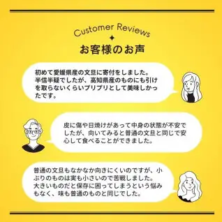 【先行予約】【訳あり】【発送:2027年3月上旬～なくなり次第】土佐文旦 こだまくん 6kg 文旦