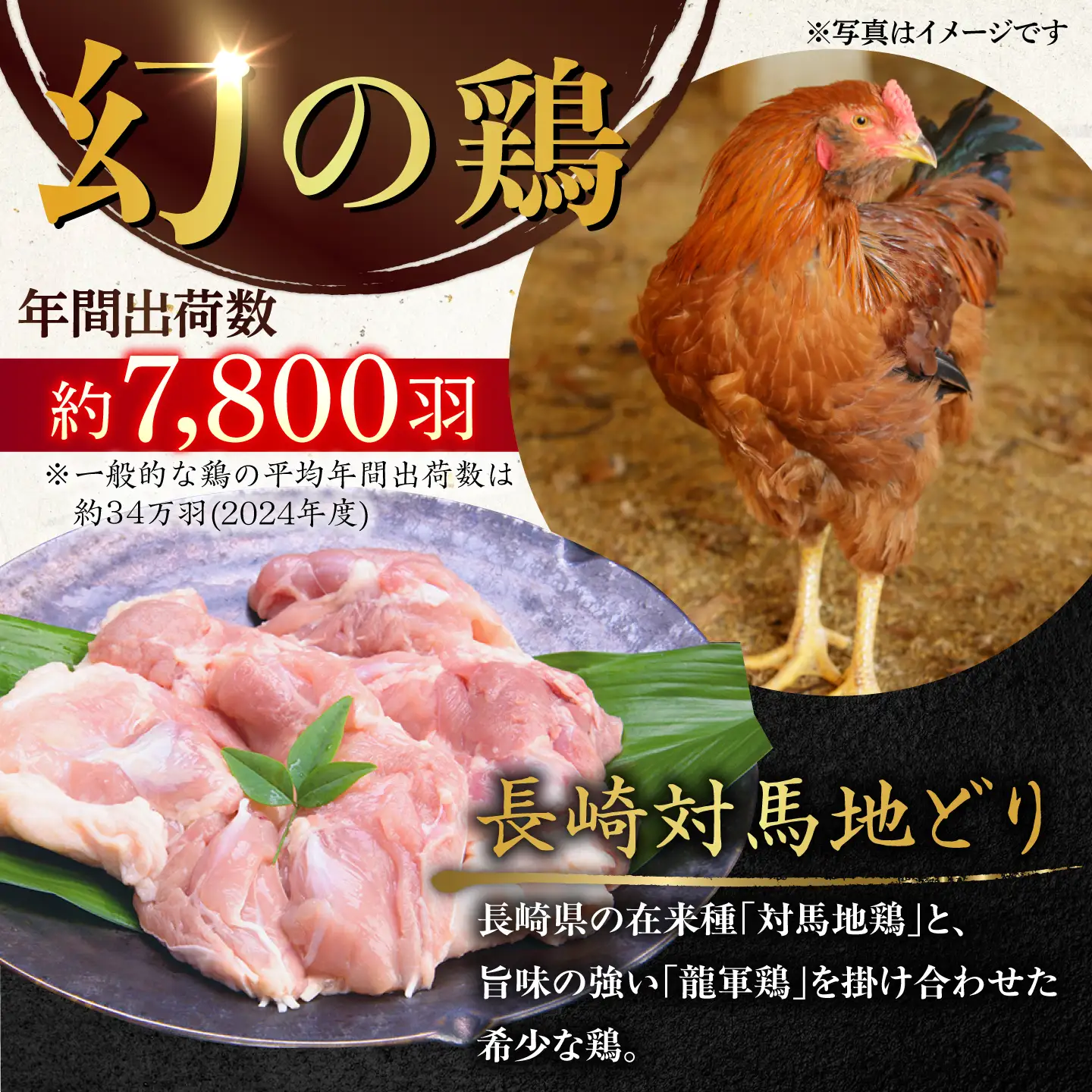 【ながさき対馬地どり】水炊きセット AHFS002 水炊き
