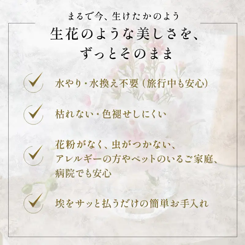 エミリオロバ　仏花セットB　ファレノプシスリップピンクS 2個セット