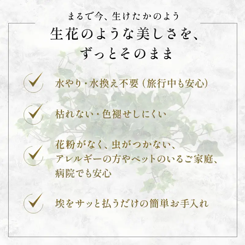 エミリオロバ　卓上プランツＢセット