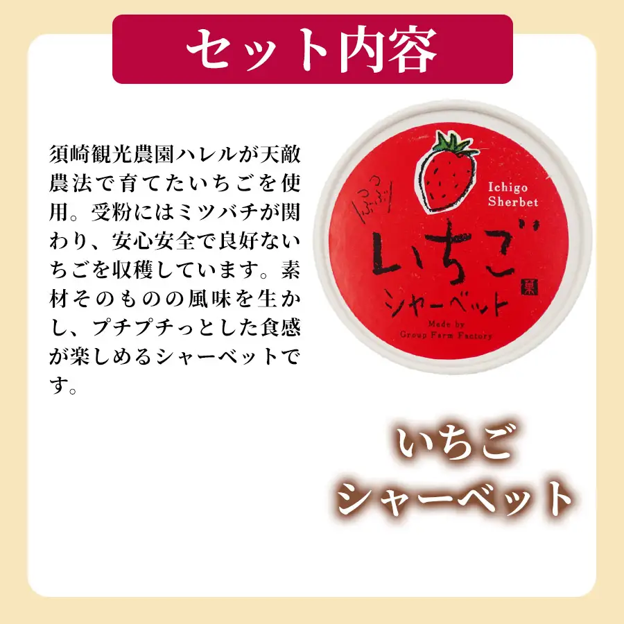 いちご シャーベット 100ml×10個 アイスクリーム シャーベットアイス 【アイス】